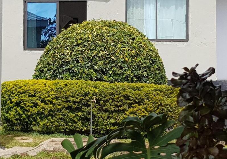 اتاق استاندارد, Chinyonga Guesthouse