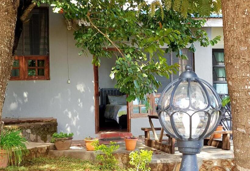 اتاق لوکس, Chinyonga Guesthouse