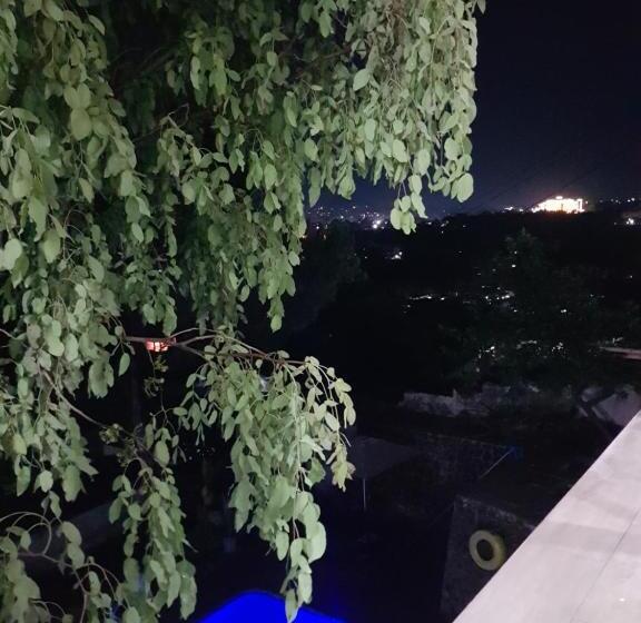 استودیو استاندارد با چشم‌انداز استخر, Chinyonga Guesthouse