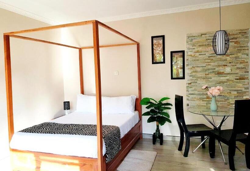 استودیو استاندارد با چشم‌انداز, Chinyonga Guesthouse