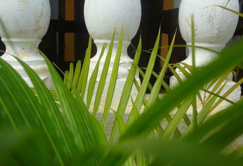 اتاق خانوادگی با چشمانداز باغ, Home Sakalava