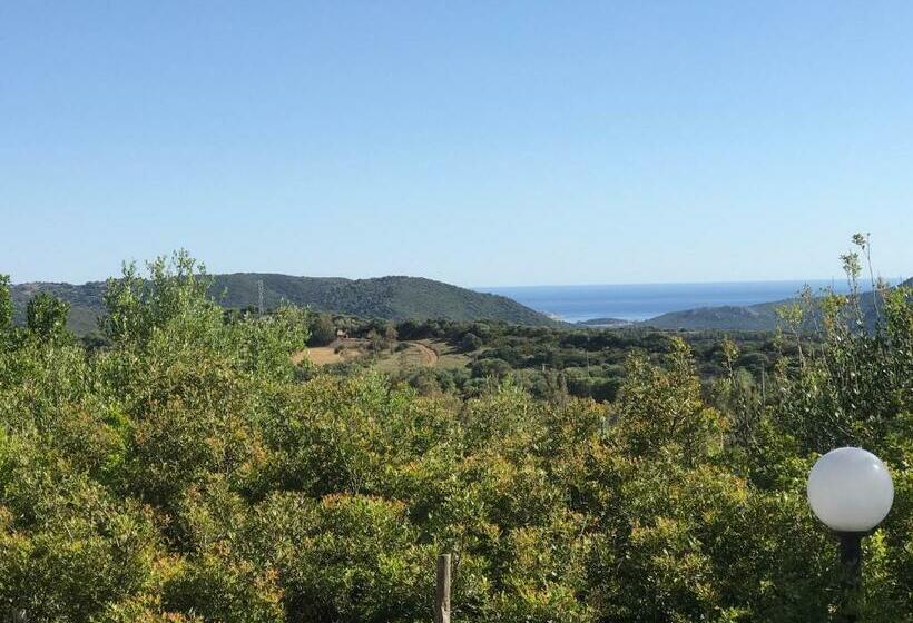 חדר סטנדרט, Belvedere