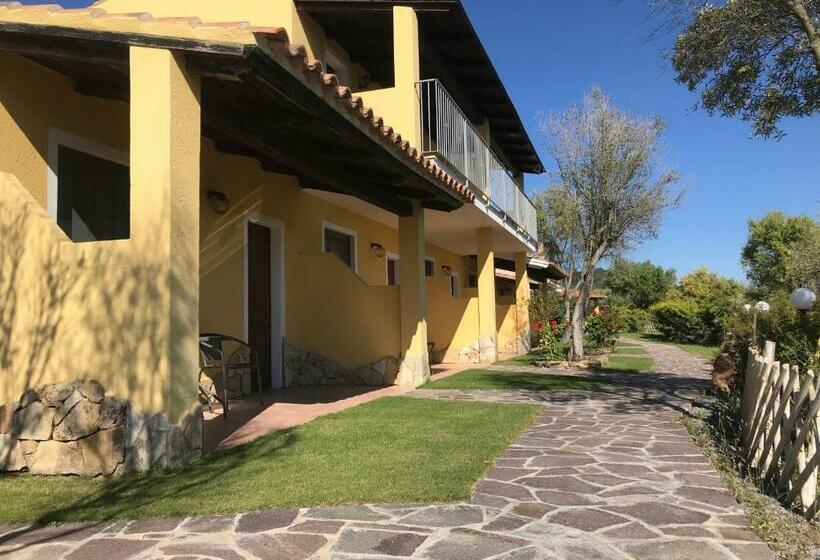 חדר סטנדרט, Belvedere