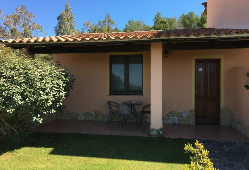 חדר משפחתי, Belvedere