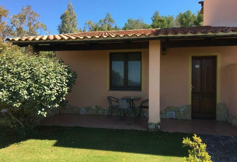 חדר משפחתי, Belvedere