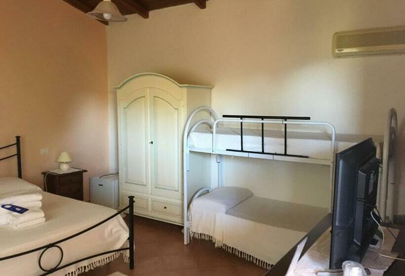 חדר משפחתי, Belvedere