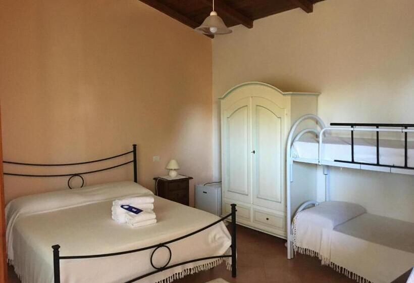 חדר משפחתי, Belvedere