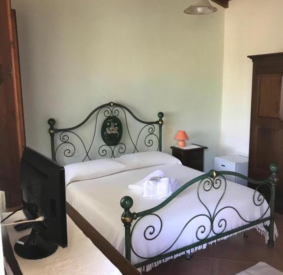 חדר אקונומי, Belvedere