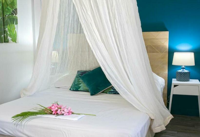 اتاق کلاسیک, Koho Sxm Ex Hevea