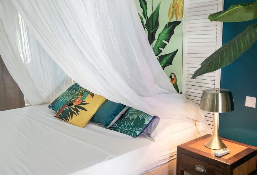 اتاق استاندارد, Koho Sxm Ex Hevea