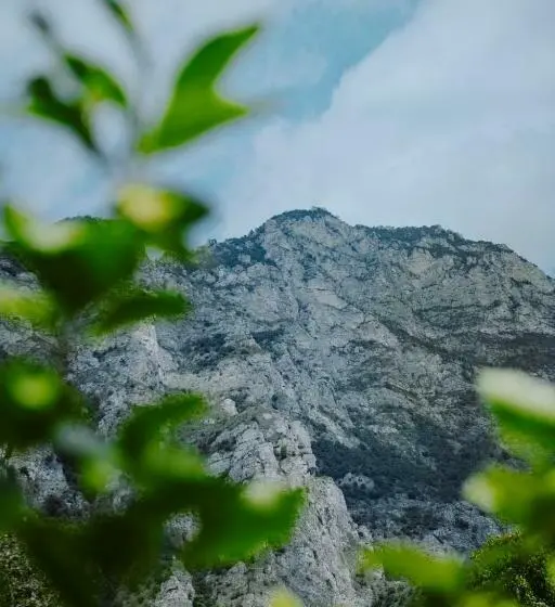 Standard Yhden Hengen Huone, Limone
