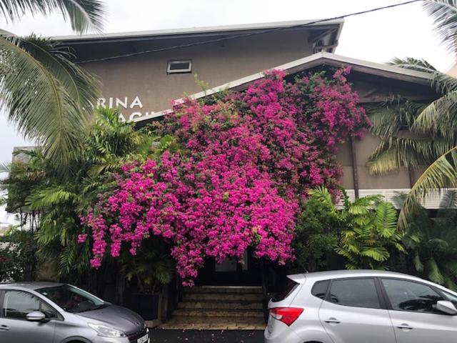 Standart Stüdyo, Résidence Marina Beach