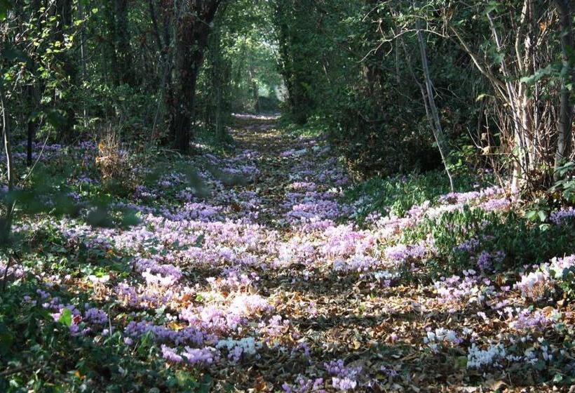 غرفة عائلية, La Petite Londe