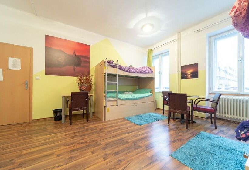 تختخواب در اتاق مشترک, Ana Hostel