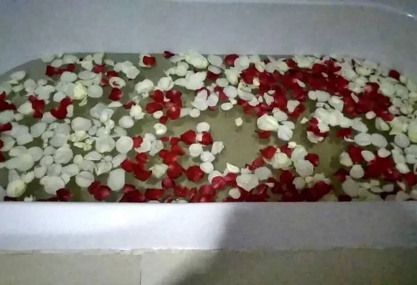 اتاق سوپریور, Green Paradise