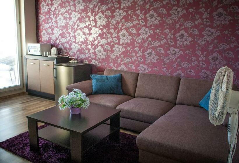 شقة غرفة واحدة, Hokejka