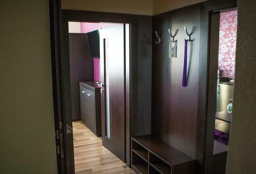 شقة غرفة واحدة, Hokejka