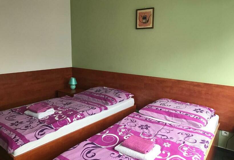 غرفة قياسية, Hokejka