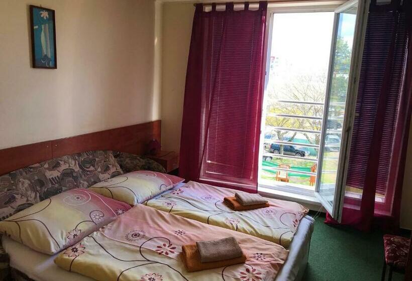 غرفة قياسية, Hokejka