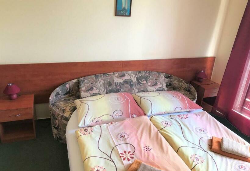 غرفة قياسية, Hokejka