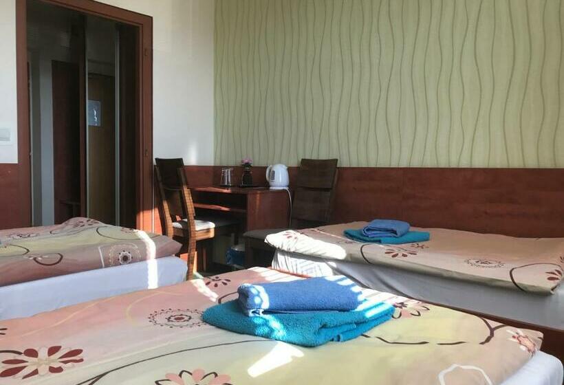 غرفة قياسية ثلاثية, Hokejka