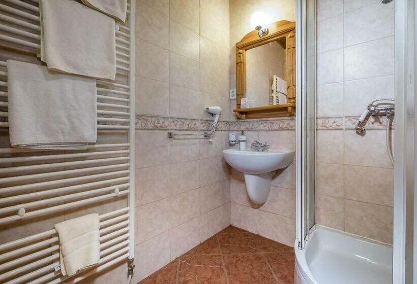 스탠다드 룸, Oravský Háj Garden Hotel & Resort