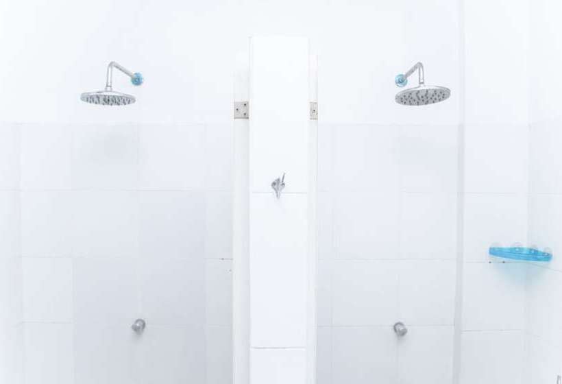 Llit en Habitació Compartida, Tarasa Hostel