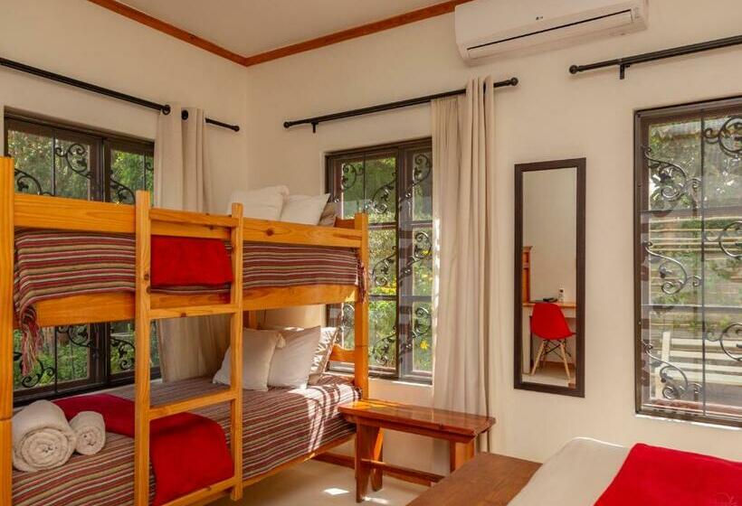 Четырехместный Номер Стандарт, 10 Alexander B&b
