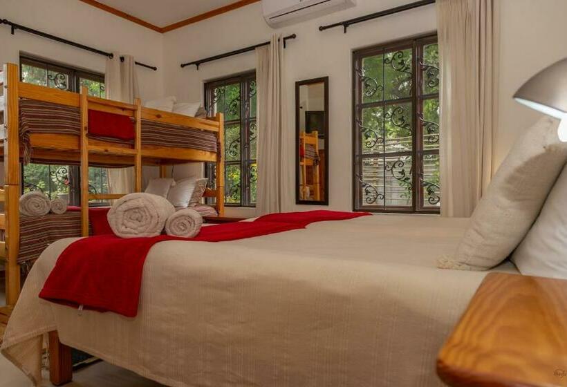 Четырехместный Номер Стандарт, 10 Alexander B&b