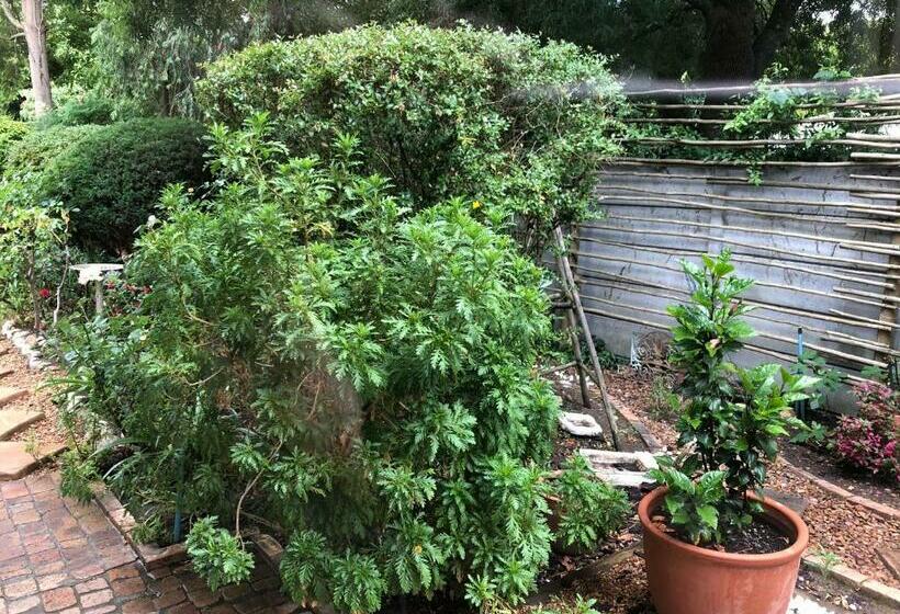 غرفة قياسية رباعية, 10 Alexander B&b