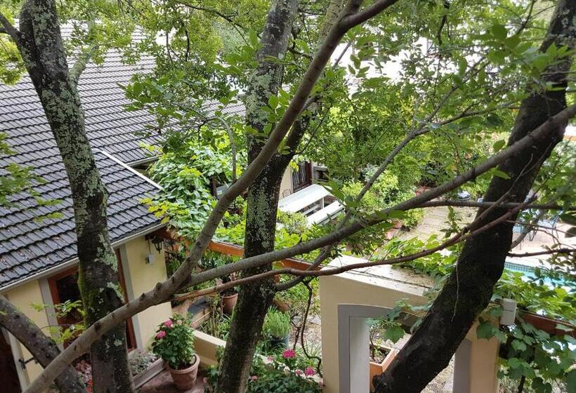 Номер Стандарт, 10 Alexander B&b