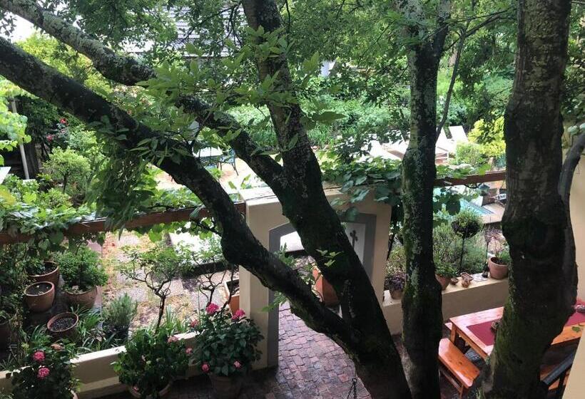 شقة غرفة واحدة ذات إطلالة, 10 Alexander B&b