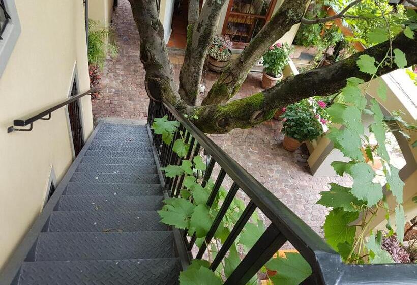 غرفة قياسية ثلاثية, 10 Alexander B&b