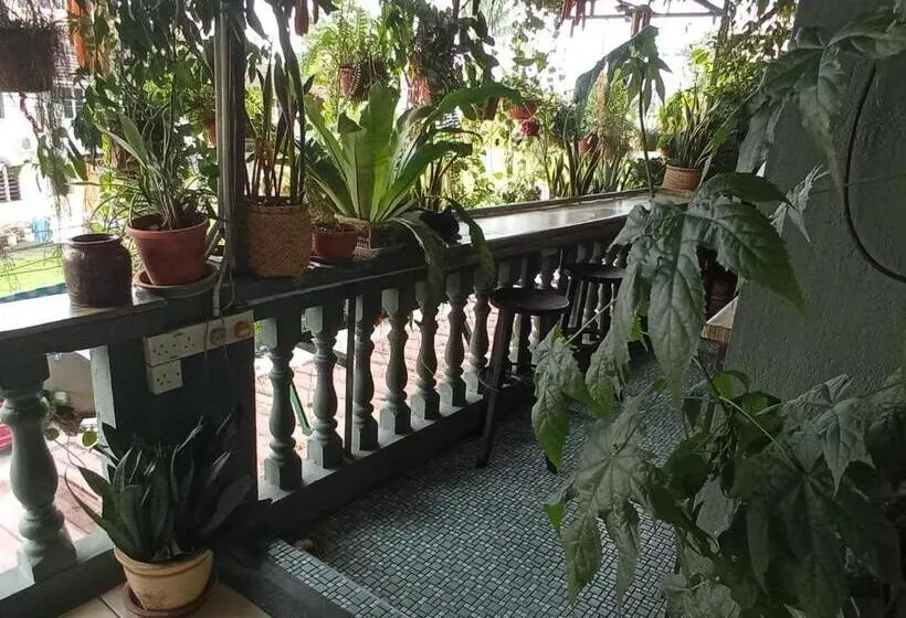 اتاق چهار تخته با دستشویی مشترک, Marco Polo Guest House