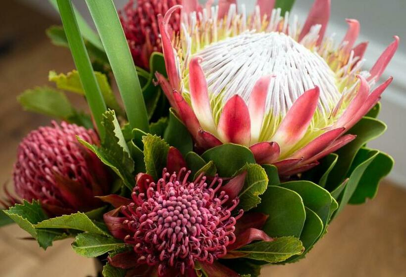 חדר דלוקס עם מיטת קינג, 14 On Klein Constantia