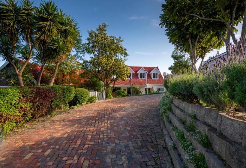 סוויטה, 6 On Protea