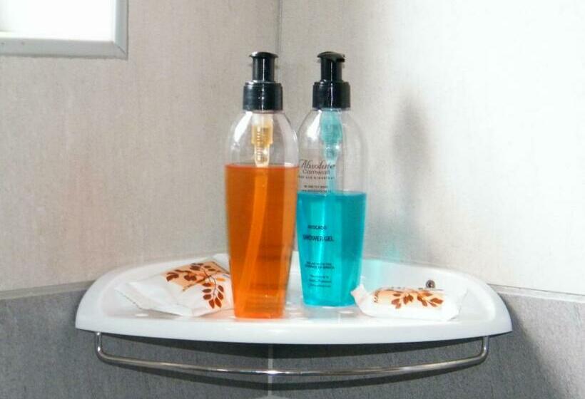 标准间, Absolute Cornwall Bed And Breakfast