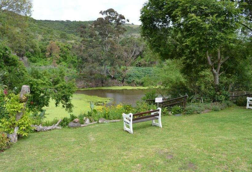 ガーデンビューデラックスルーム, Fish Eagle Manor