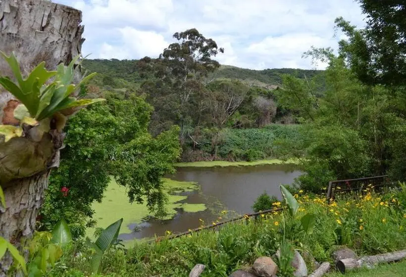 Standard-bungalow, Fish Eagle Manor