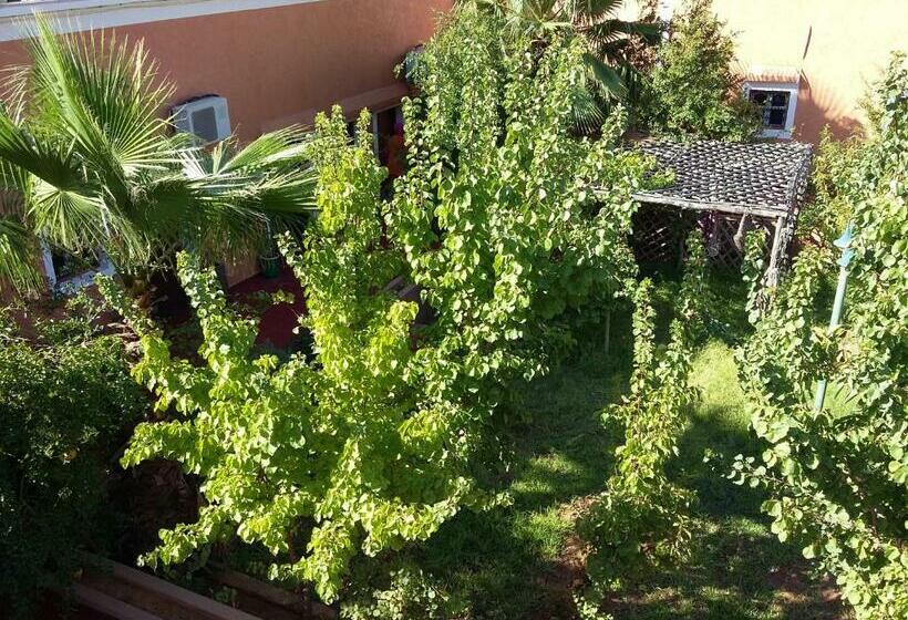 اتاق استاندارد, L Arganier D Ammelne