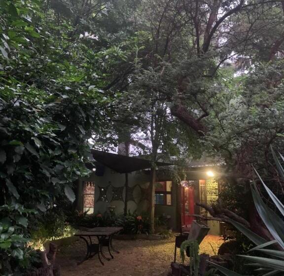 スタンダードルーム, Rabbit Hole