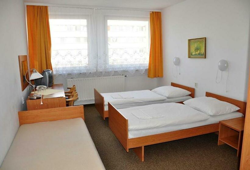 اتاق استاندارد یک نفره, Tatra