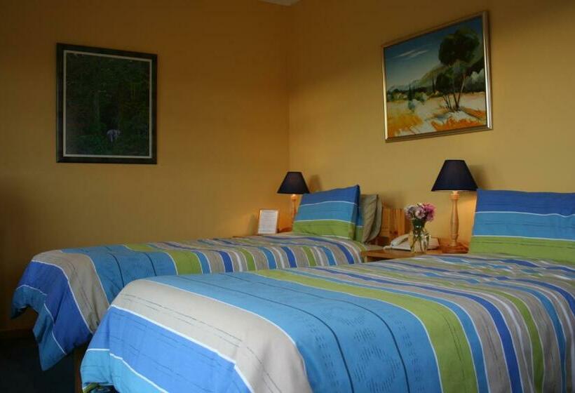 デラックスルーム, The Manderson Hotel And Conference Centre