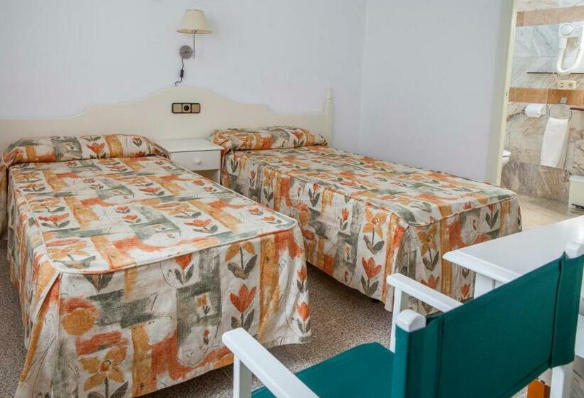 Номер Стандарт, Agora