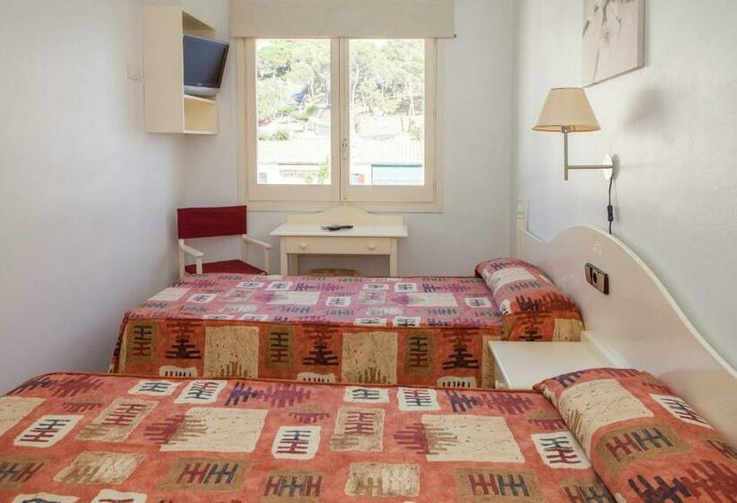 Номер Стандарт, Agora