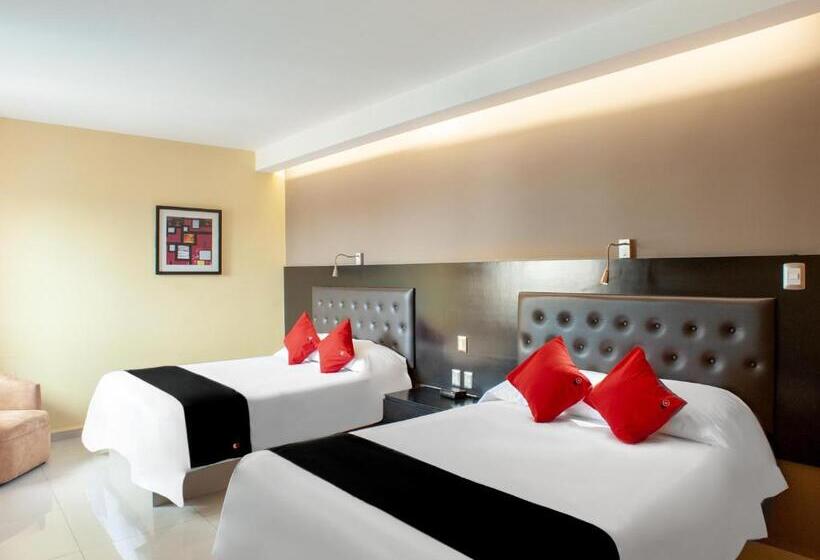 주니어 스위트, Capital O Veracruz Suites