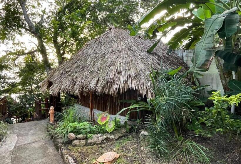 スタンダードルーム, Casa Lamat