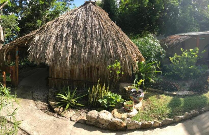 スタンダードルーム, Casa Lamat