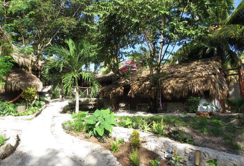 スイート(家族用), Casa Lamat