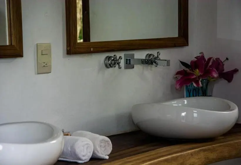 スイート, El Alquimista Yoga Spa